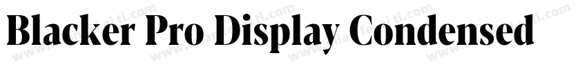 Blacker Pro Display Condensed Trial字体转换